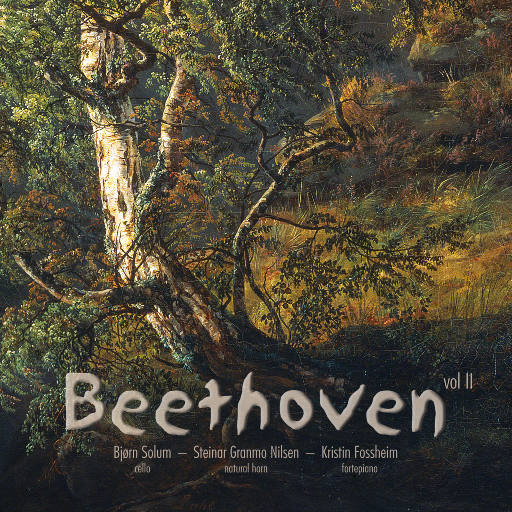 精品亚洲va无码一区二区三区
